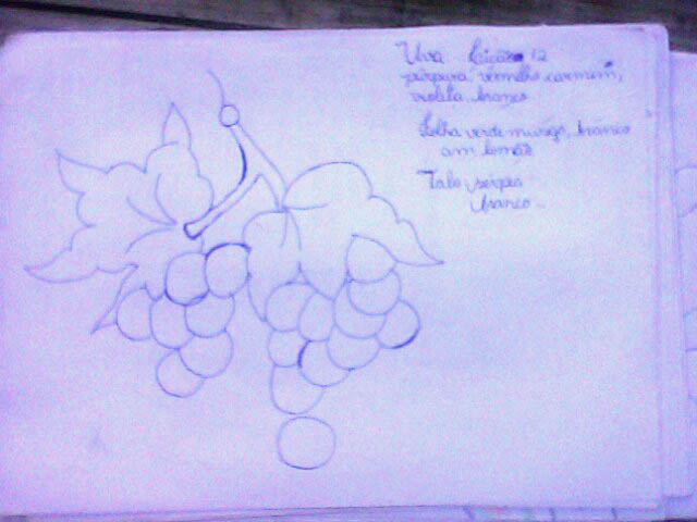 Desenho da Uva